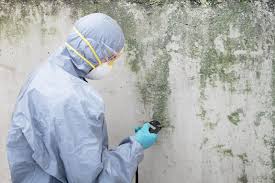 Best Biohazard Mold Removal  in Haverhill, FL